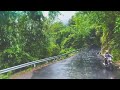 Darjeeling STATUS VIDEO ️