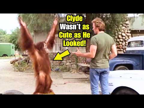 Cinema Secrets You Missed in Every Which Way But Loose!