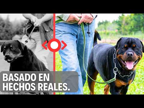 The natural method that calms anxious dogs - created by a former banker who lived in the Peruvian...