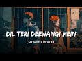 Dil Teri Deewangi Mein Slowed Reverb Anand Raj Anand Richa Sharma Kismat SSR Lofi