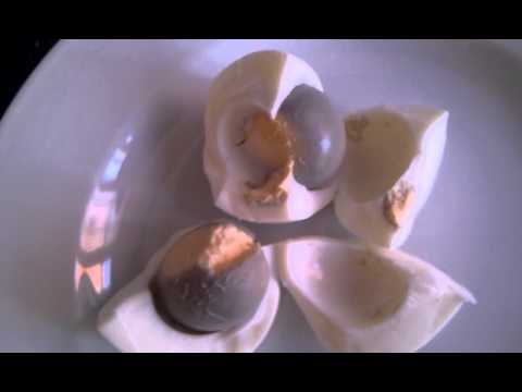 An egg with double yolk by Rex and chaka