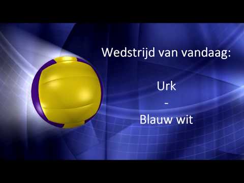 volleybal Schol urk - blauw wit