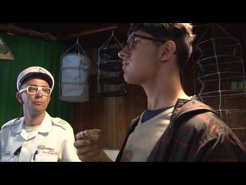 Conexão UFSC 06/06/2017 - Cabelo Afro/ Rota Gastronômica