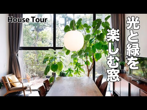 jardin-végétal-petit-plantes-vertes-grimpantes