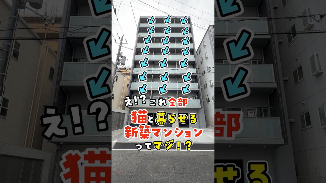 【一棟丸ごと猫マンション】猫のために新築マンションを建ててみた！ #ねこ #ねこ物件 #ルームツアー