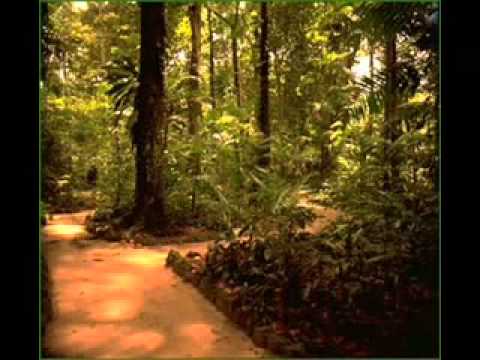A Razão E O Porque - Tribo de Jah