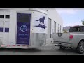 Viva Rescue wrap video