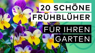 20 Frühblüher Pflanzen - So wird Ihr Garten schnell bunt