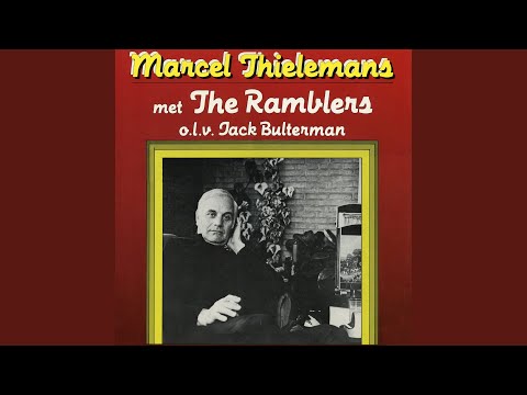 Weet Je Nog Wel, Die Avond In De Regen?