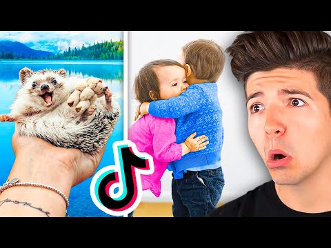 CUTEST Videos On TIKTOK *Try Not To Say AWW!*