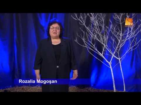 Rozalia Mogosan  -  Anul Nou,o sansa noua!