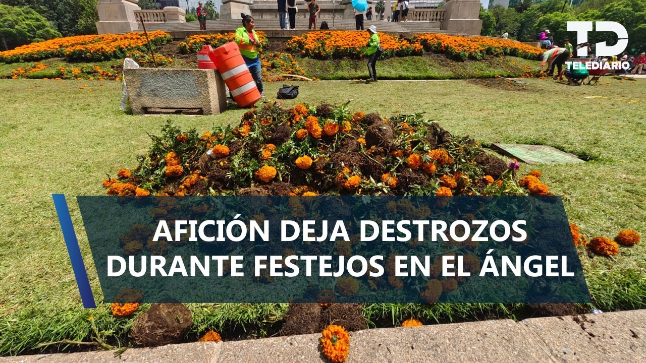 Festejos por triunfo de México dejan daños en jardines del Ángel de la Independencia