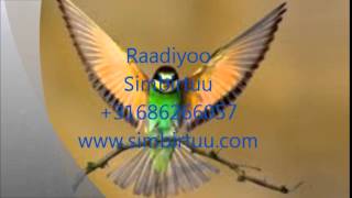 Simbirtuu 21 05 2015