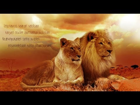 Cuulas - Savannilla / Finnish song about Africa