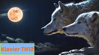 Entspannungs Musik Klavier ✿ Clair de Lune   Claude Debussy Extended Version