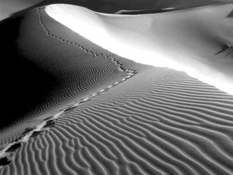 Dissidenten - At the Pyramids