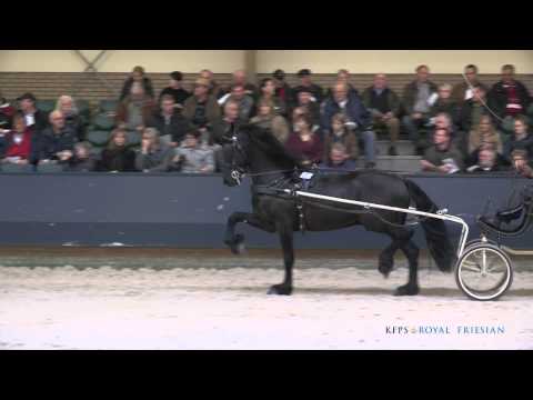 Hette 481 &#8211; Norbert x Rindert