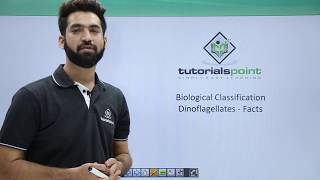 Class 11th – Kingdom Protista - Dinoflagellates Facts | Biological Classification | Tutorials Point