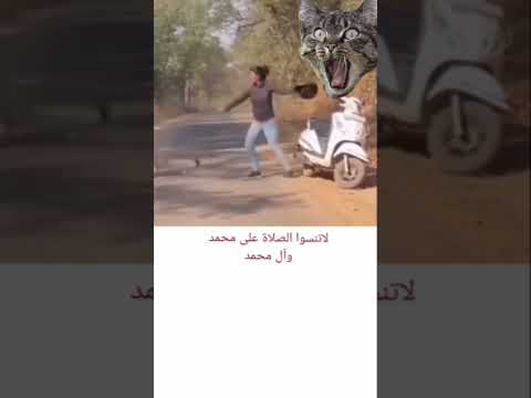 #قران_كريم #اكسبلور #روعات #منوعات