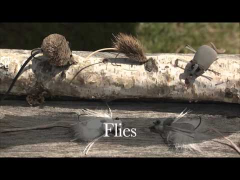 Sutton River Trout with Hearst Air Service | Ontario