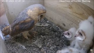 We were scared of mom!