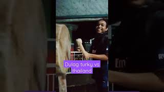 Download lagu Dulag orang Turki vs thailand mp3 Download lagu Dulag orang Turki vs thailand mp3