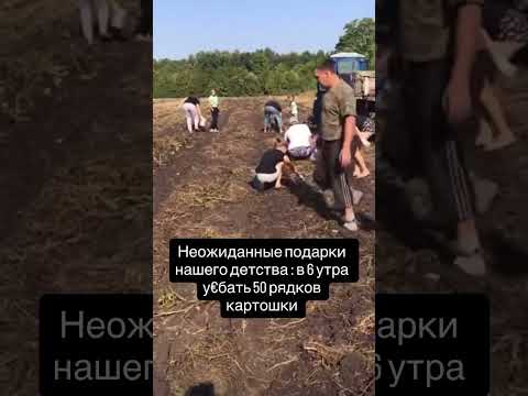 Ранишь было по другому #automobile #farming #agriculture #shortvideo #excavator #agro
