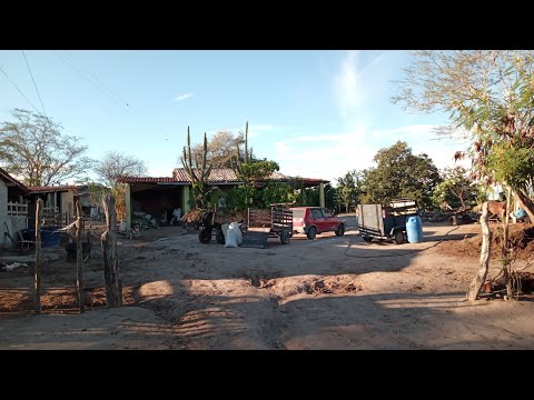 SÍTIO AZEVEM DE JUPI-PE REGIÃO RICA 28-04-2026