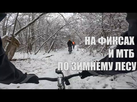 Красивый лес, хорошее настроение☺️