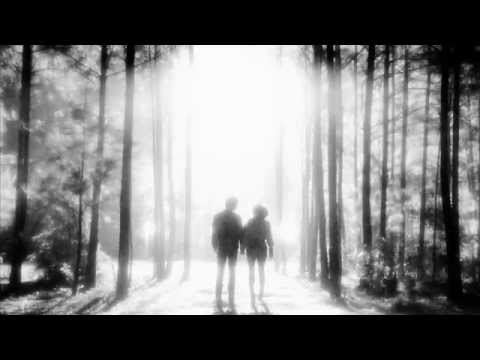 the vampire diaries | wings [5x22]