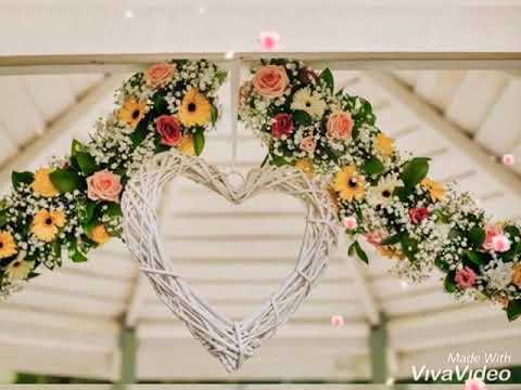 Born to be a florist video.