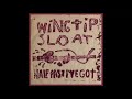 Wingtip Sloat - Half Past I've Got (2x7" VHF Records / Sweet Portable Junket) vinyl rip