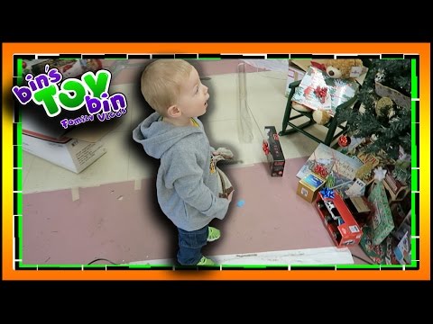 RAFFLE TREE UN-BOXING!! 11.28.2016 | Bins Toy Bin Daily Vlog