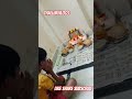 Adukondi Adukondi Ammalara Sammakka Sarakka Dapulla Sammakkasaralamma Sammakkasarakkajatara2024