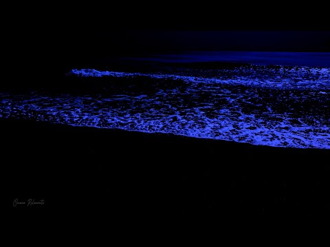 Ocean Waves Relaxation 24 Hours | Soothing Waves on Beach at Night | White Noise for Sleep