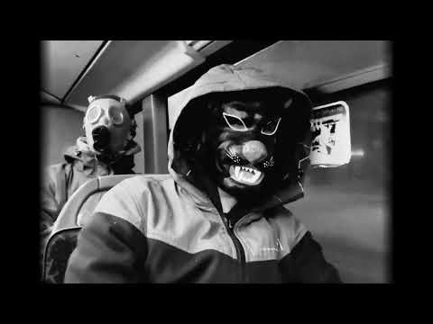 Pękaty x Qzyn - Misia Gogo