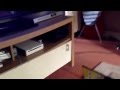 Bloopers DVD Opening To The SpongeBob SquarePants Movie 2004