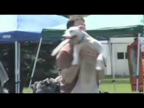 Wallace - The Rise of an Underdog