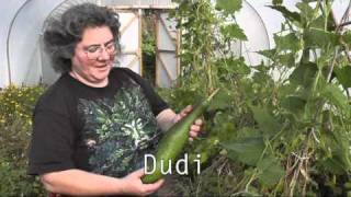 Sowing New Seeds Introduction