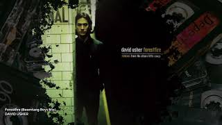 David Usher - Forestfire (Boomtang Boys Mix)
