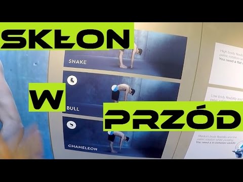 Choroba jest mięsień Okrągły grzbietu