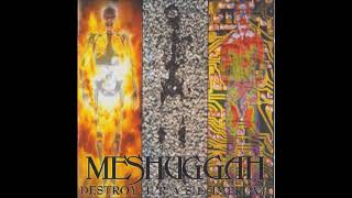 EVERY GUITAR SOLO From Destroy Erase Improve By MESHUGGAH
