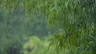 Download lagu Chinese Music Accompanied by the Sounds of Rain and Thunder for Relaxation. mp3