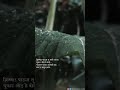 Bhijun Gela Wara Marathi Romantic Song Whatsapp Status Rain Marathi Whatsapp Status