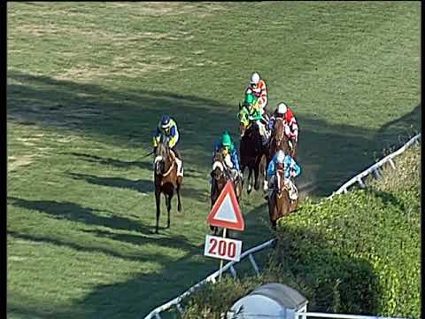 Galoppo 02/01/2020 - 2ª corsa