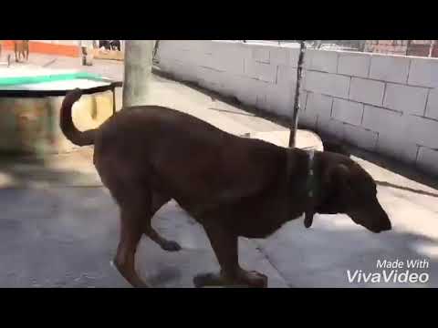 Angel. Ace-Algeciras 2018