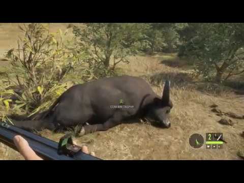 theHunter Call of the Wild Mythical Cape Buffalo from 196 yds. One Shot Kill with the 470