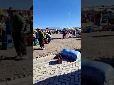 Provincia Pacajes, municipio de Calacoto