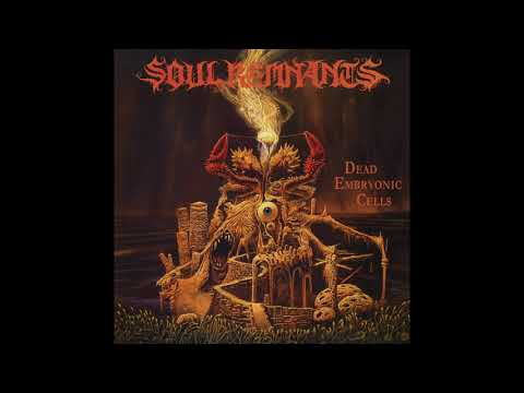 Soul Remnants - Dead Embryonic Cells (Sepultura Cover)