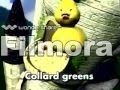 VeggieTales Theme Song 2001 WITH LYRICS VHS Capture